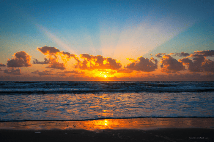 Things To Do https://nestvacationrentals.icnd-cdn.com/images/thingstodo/sunrise on isle of palms.png